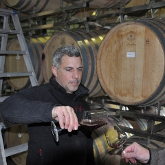 Rotwein-Jahrgang 2019 bei der Brunner Weinmanufaktur Hitzkirch