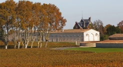 Château Mouton-Rothschild, Pauillac