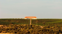 Palacio Quemado-Viñas de Alange, Almendralejo