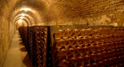 Champagne Louis Roederer, Reims
