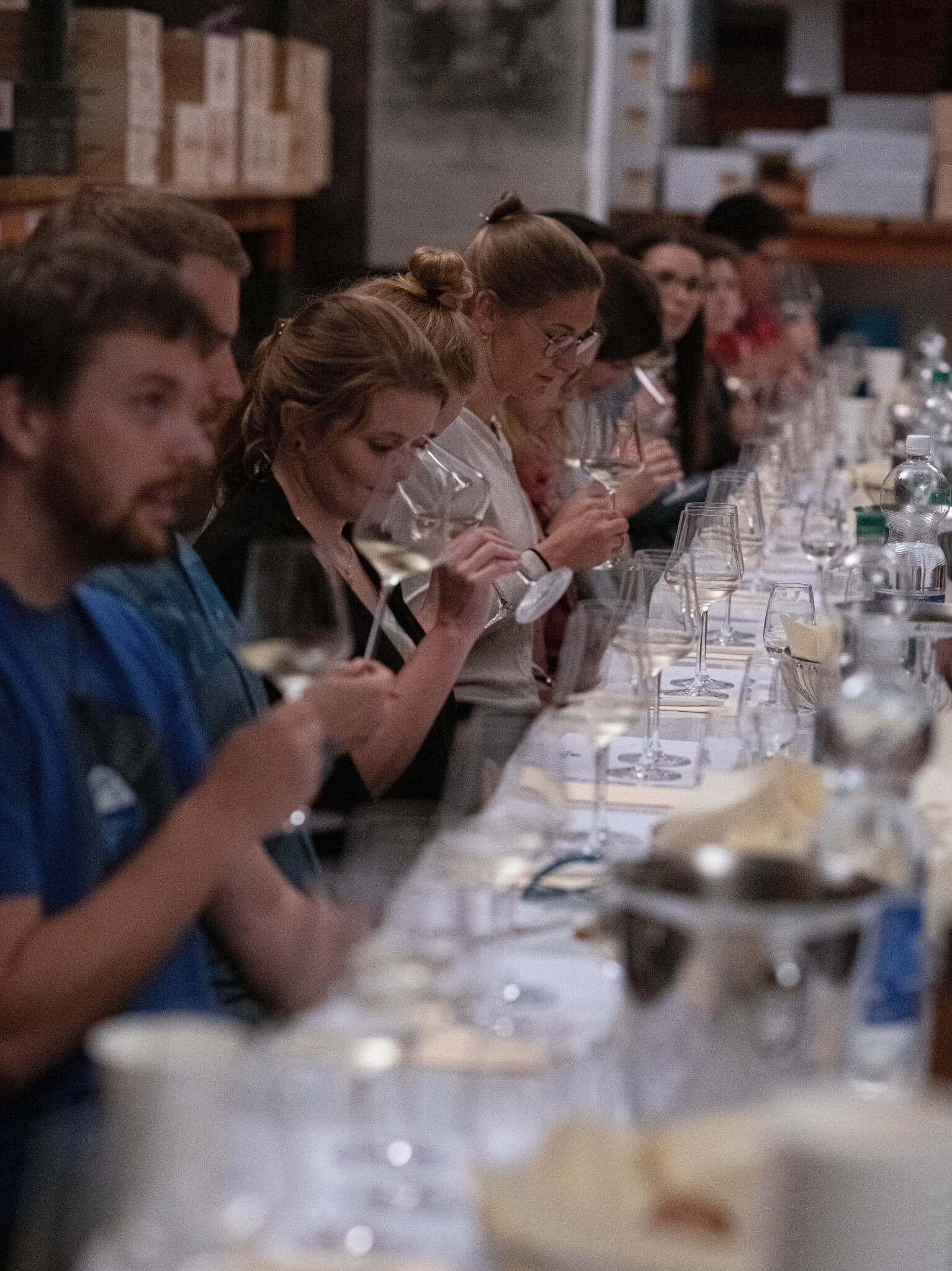 Fischer Weine | Weinversand & Weinhandel Sursee, Luzern, Schweiz