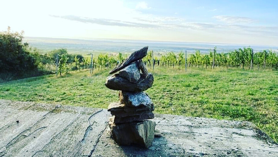Naturwein Weinwissen - Naturwein