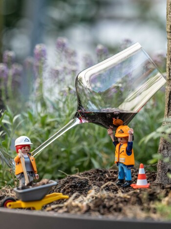 Fischer Weine - Baustellen Information