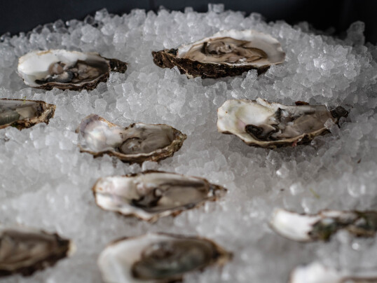Fischer Weine - Fischers Wein- und Austernbar