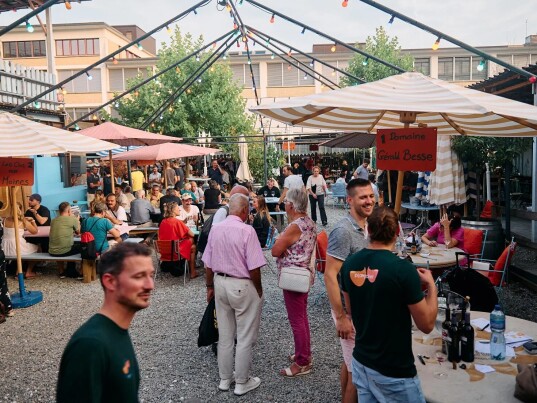 Fischer Weine - Planscher- das Schweizer Weinfestival