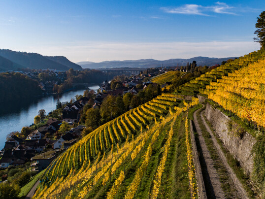 Fischer Weine - Wine & Dine mit dem Weingut Bechtel in der VILLA Schweizerhof, Luzern
