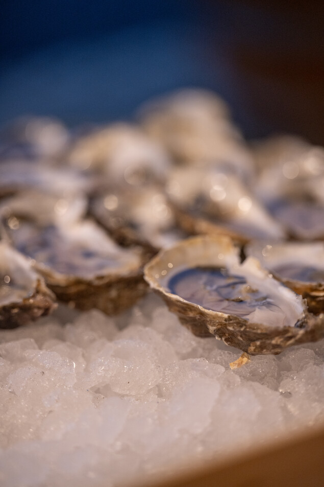 Austernbar Fischer Weine - Fischers Wein- und Austernbar
