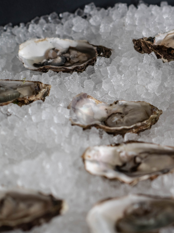 Events - Fischers Wein- und Austernbar