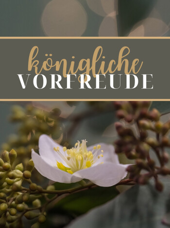 Events - Adventsausstellung Triengen