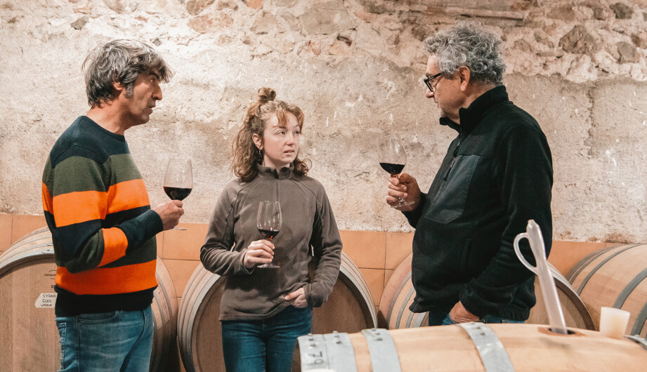 Weinwissen - Montsant? Drei gute Gründe