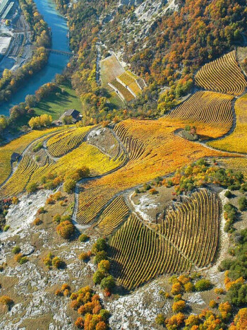 Weinwissen - Wallis: die (Wein)-Wunderkiste der Schweizer