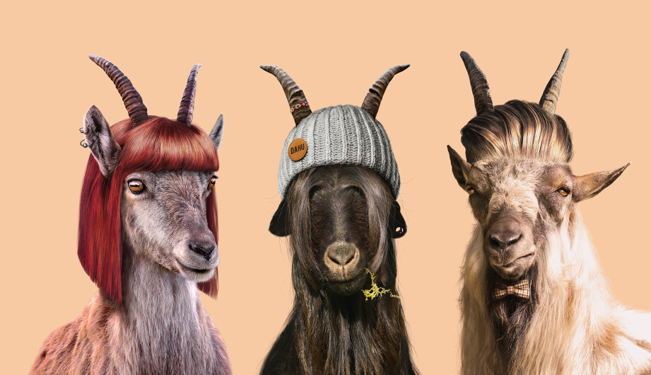 Weinwissen - Dahu: Bock anzustossen?