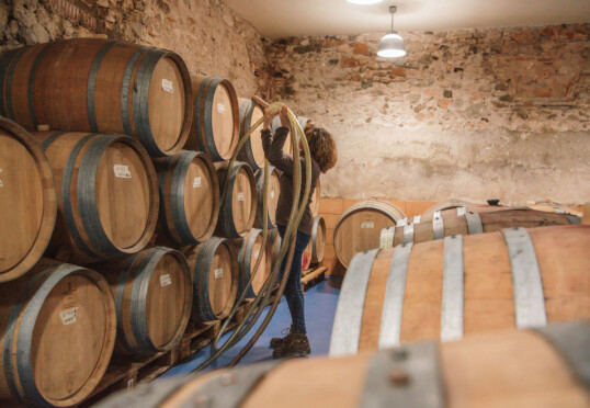 Celler Cal Besso – Isabell im Weinkeller Fischer Weine - Isabel Castellví Figuerola