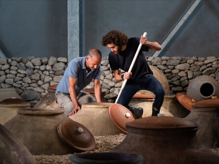 Weinwissen - Von der Modemetropole zu den Wurzeln des Weins