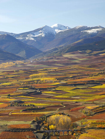 Fischer Weine - Rioja – weltbekannte Weinregion 