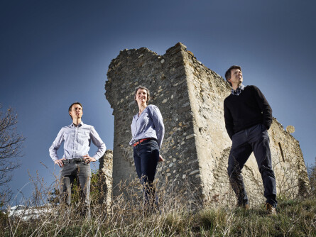 Weinwissen - Wallis: die (Wein)-Wunderkiste der Schweizer