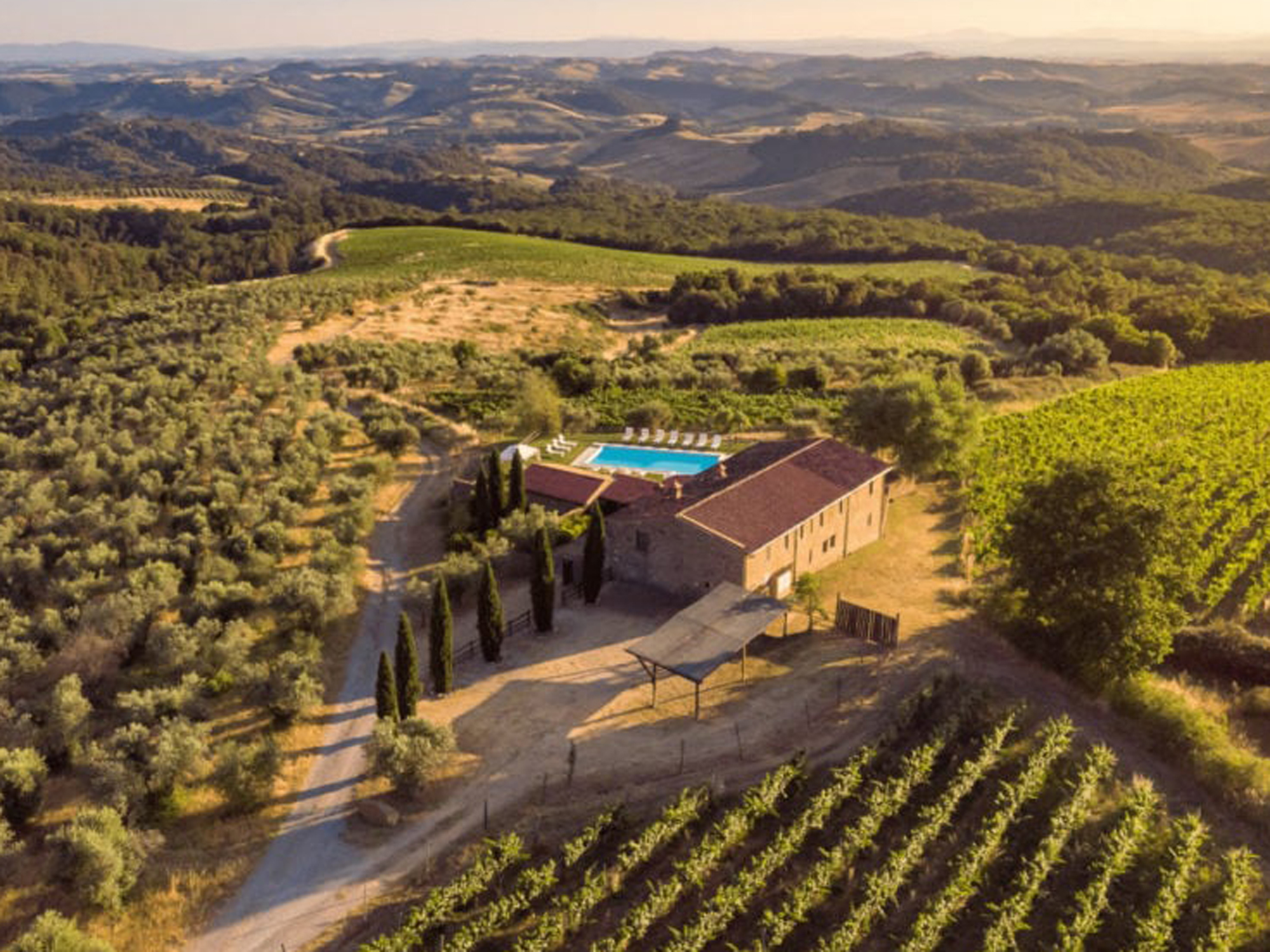 Weine von Mansalto Mansalto