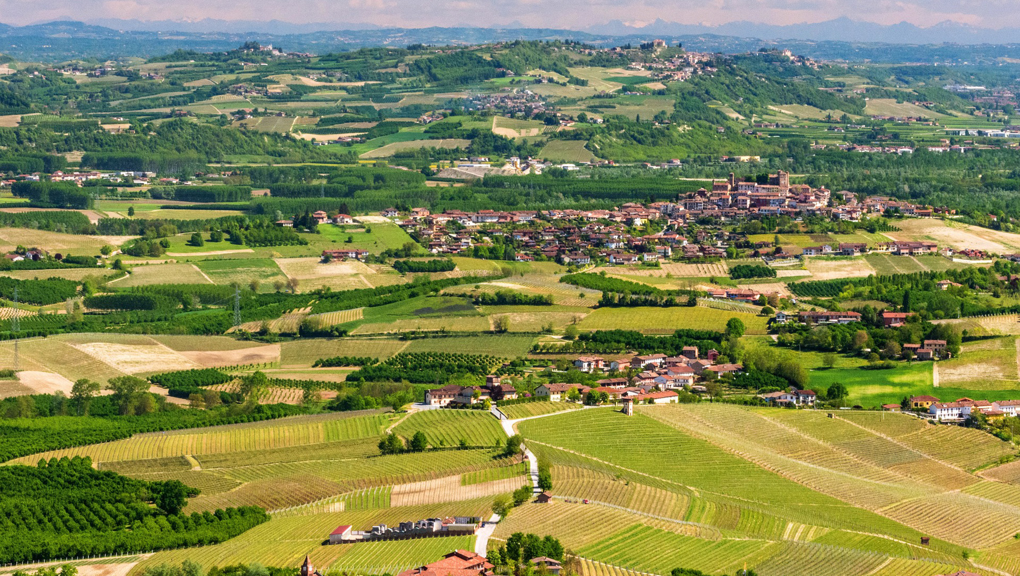 Weinregion Piemont Weine aus Piemont