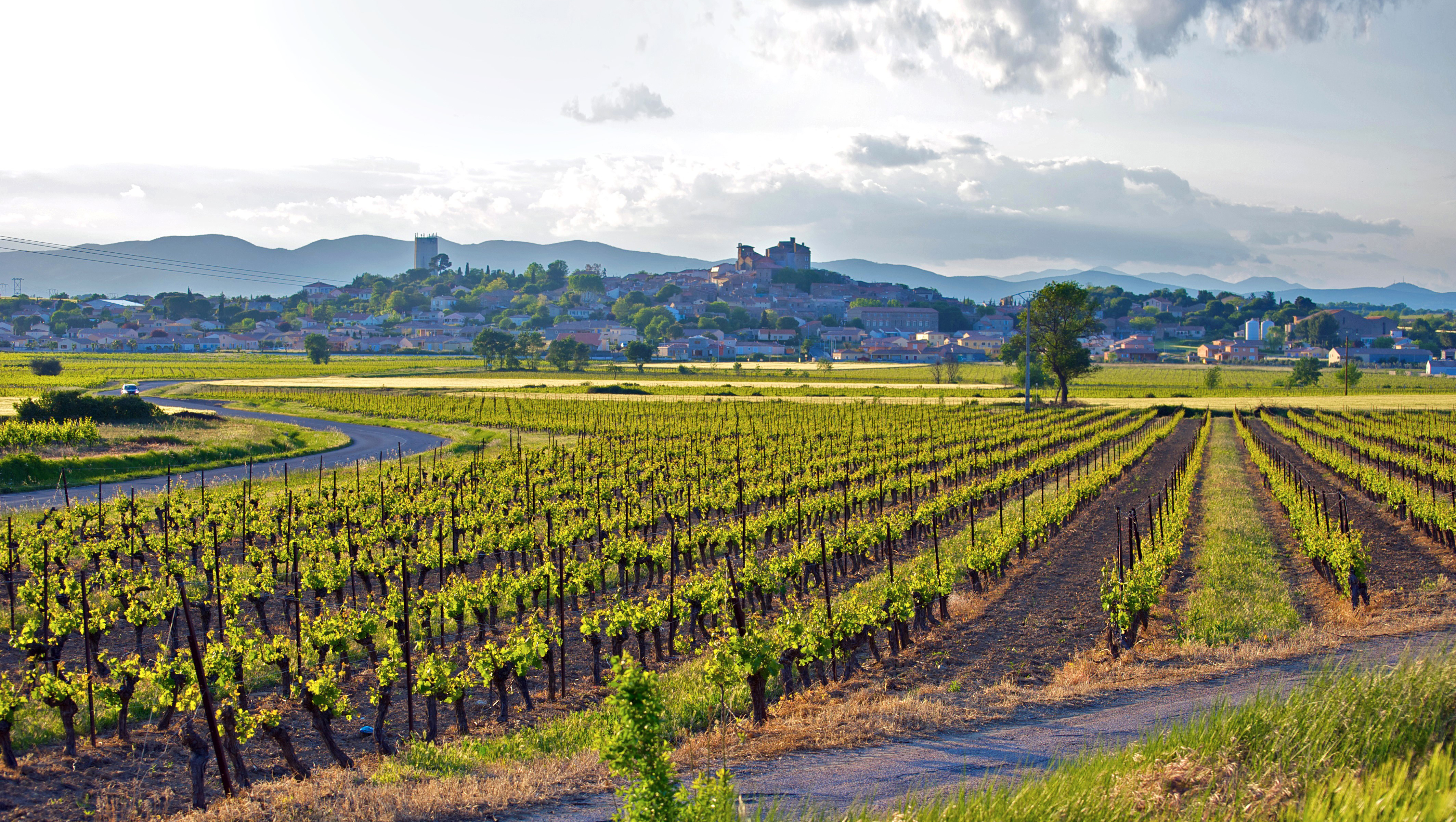 Weinregion Pays d'Oc Weine aus Pays d'Oc