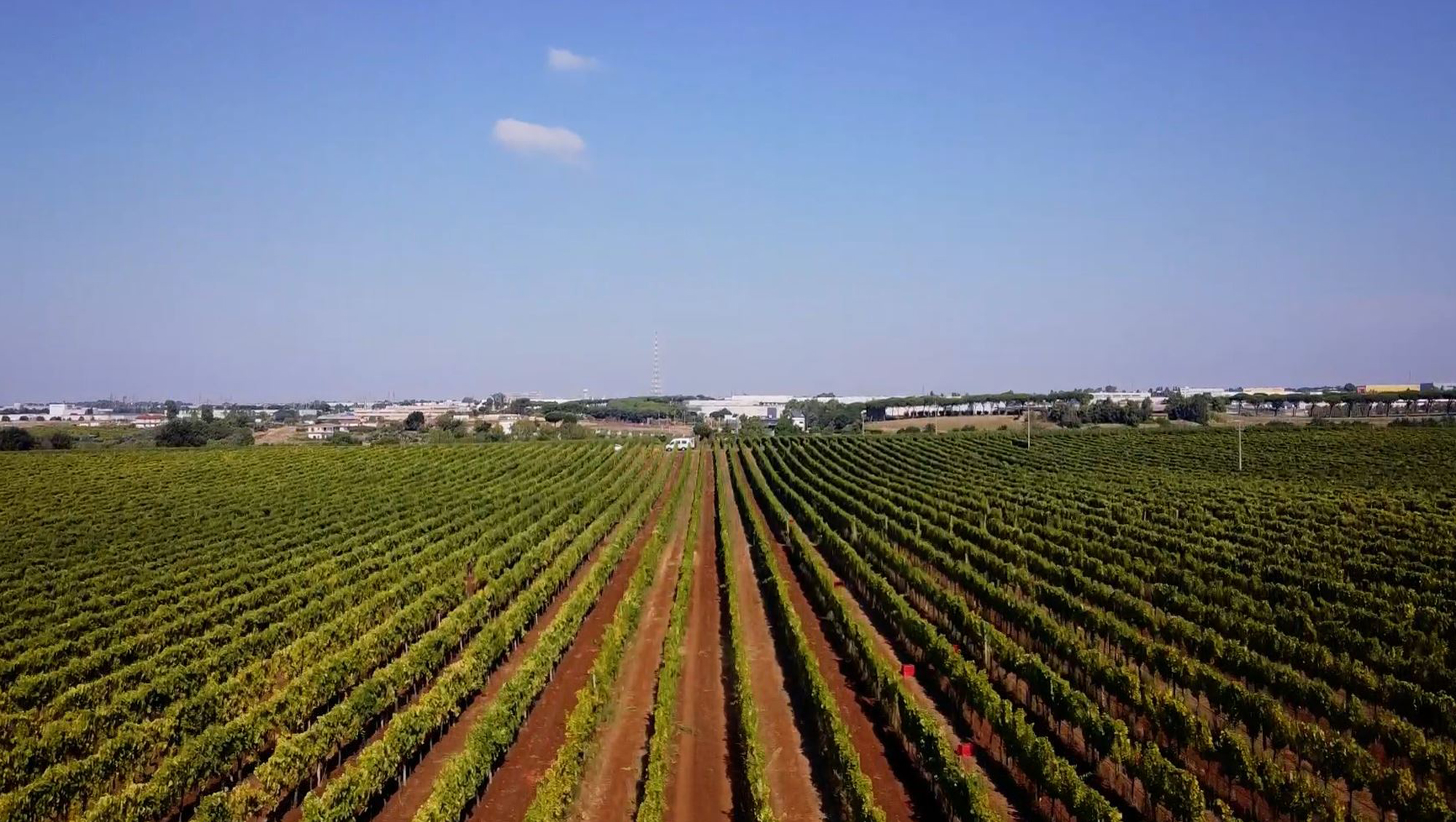 Weinregion Lazio Weine aus Lazio