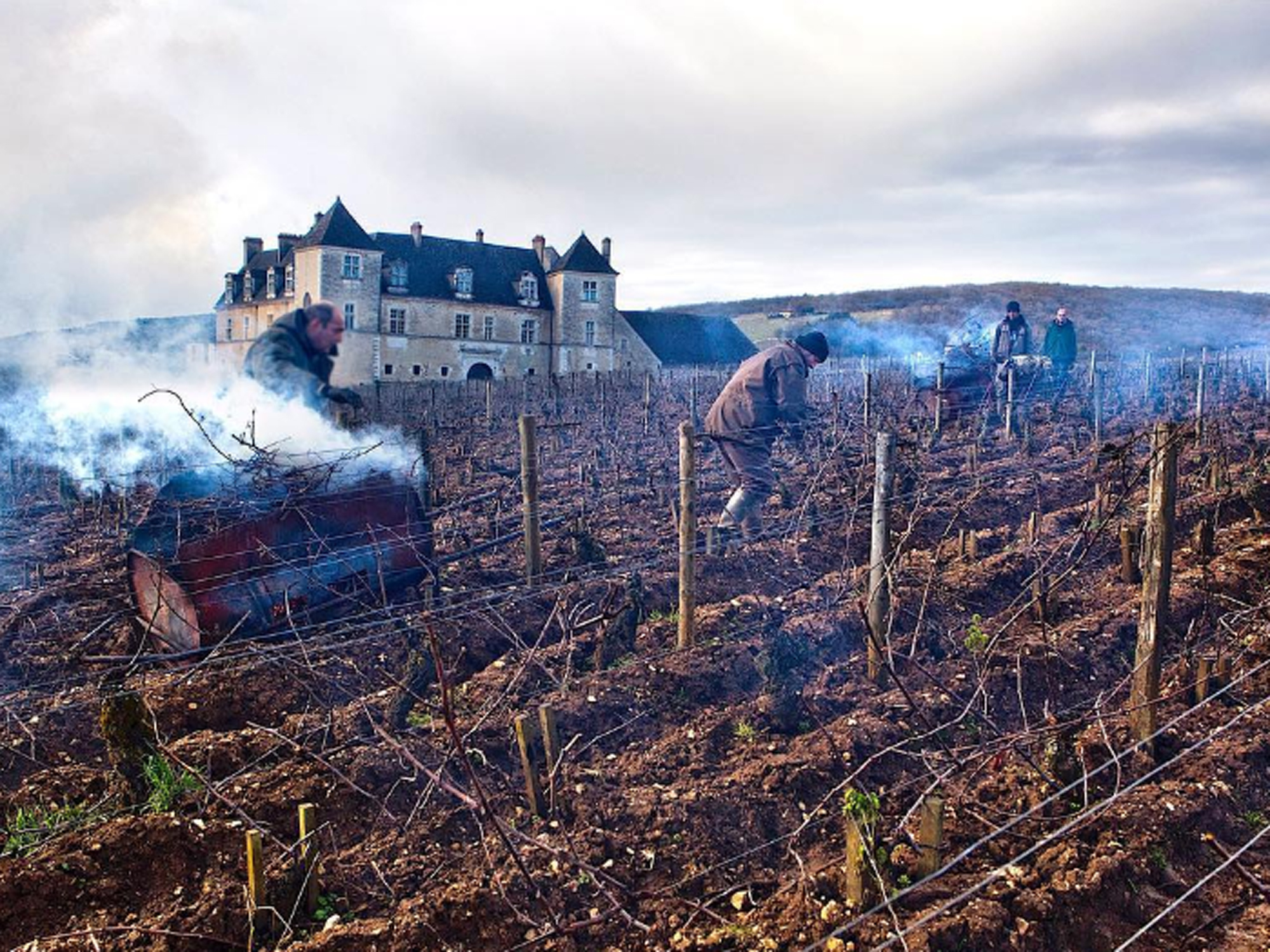 Weine von Domaine de la Vougeraie Domaine de la Vougeraie