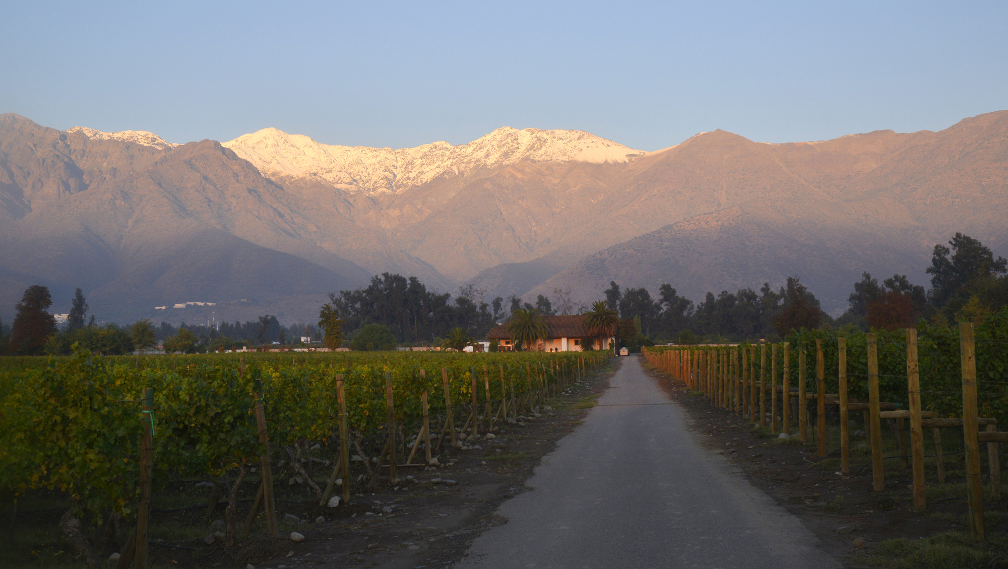 Weinregion Valle del Maipo Weine aus Valle del Maipo