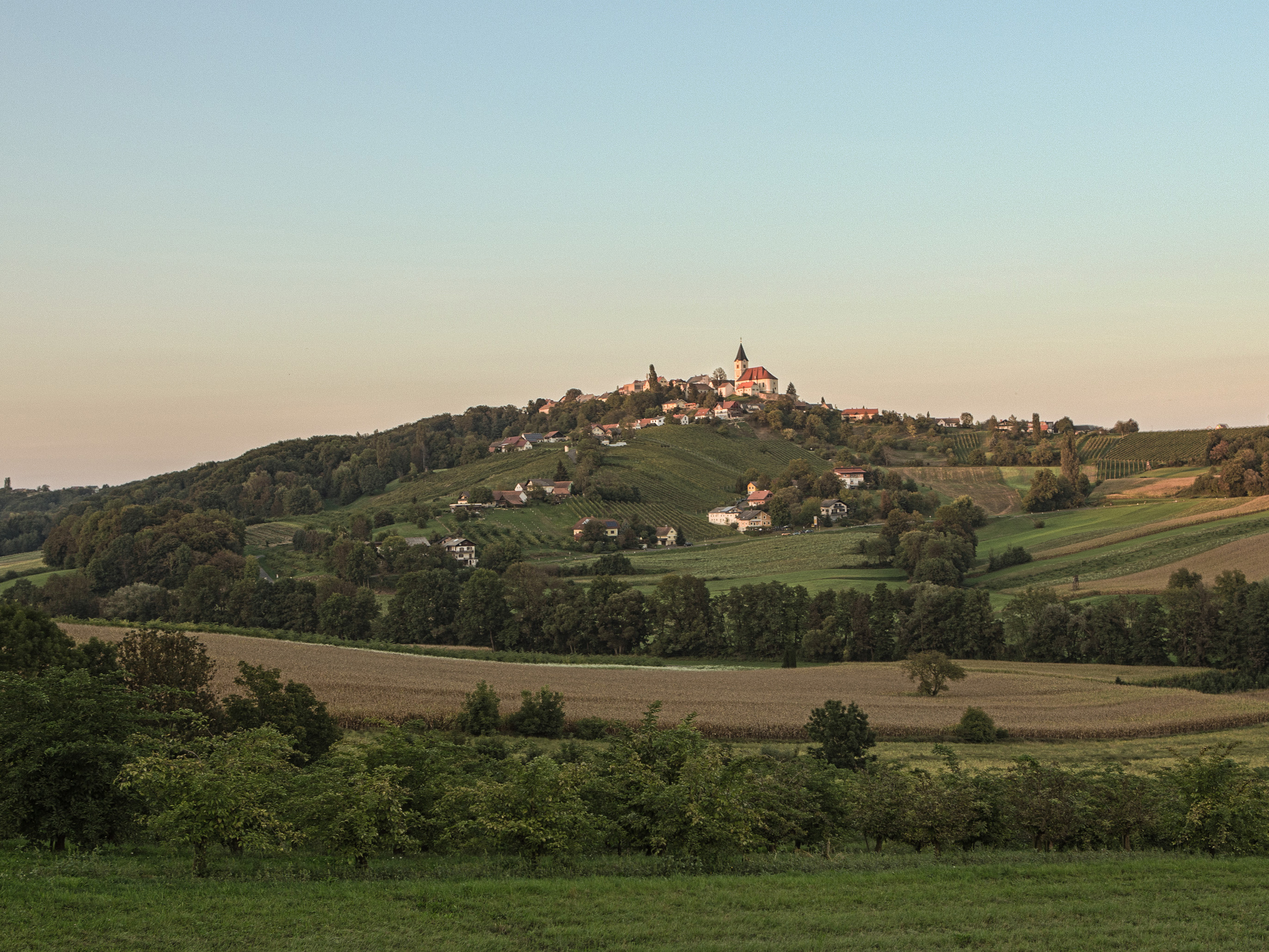 Weine von Fischer Weingut Fischer Weingut
