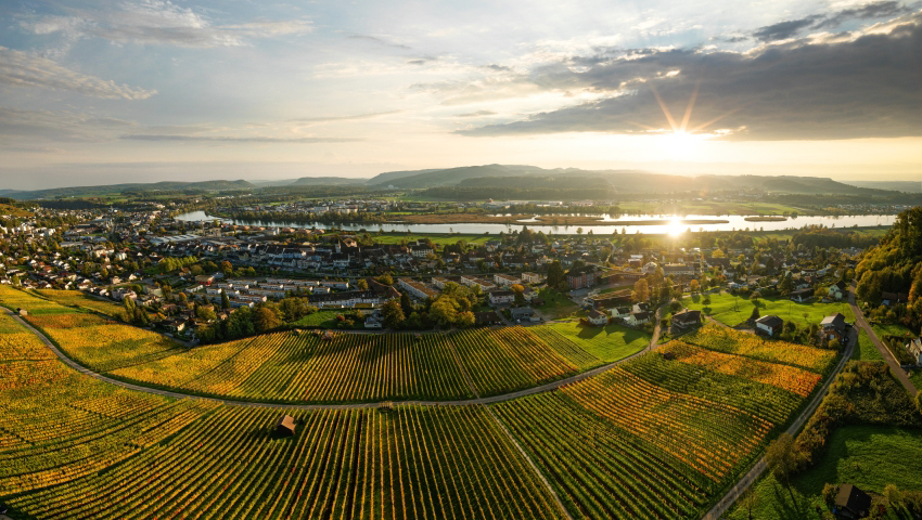 Weinregion Aargau Weine aus Aargau