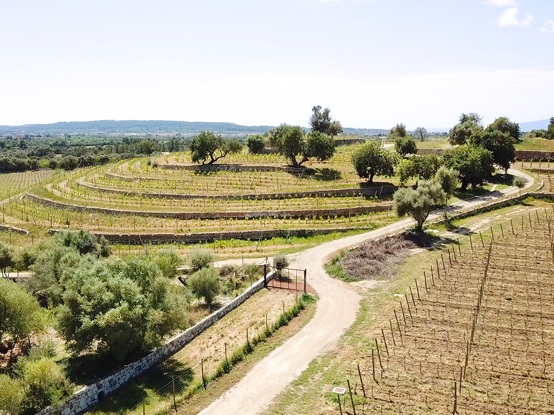Bodega Son Antem, Alaró