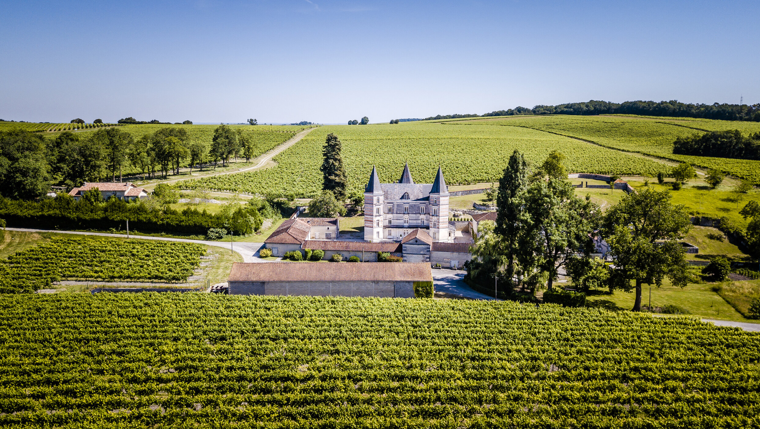 Weinregion Cognac Weine aus Cognac