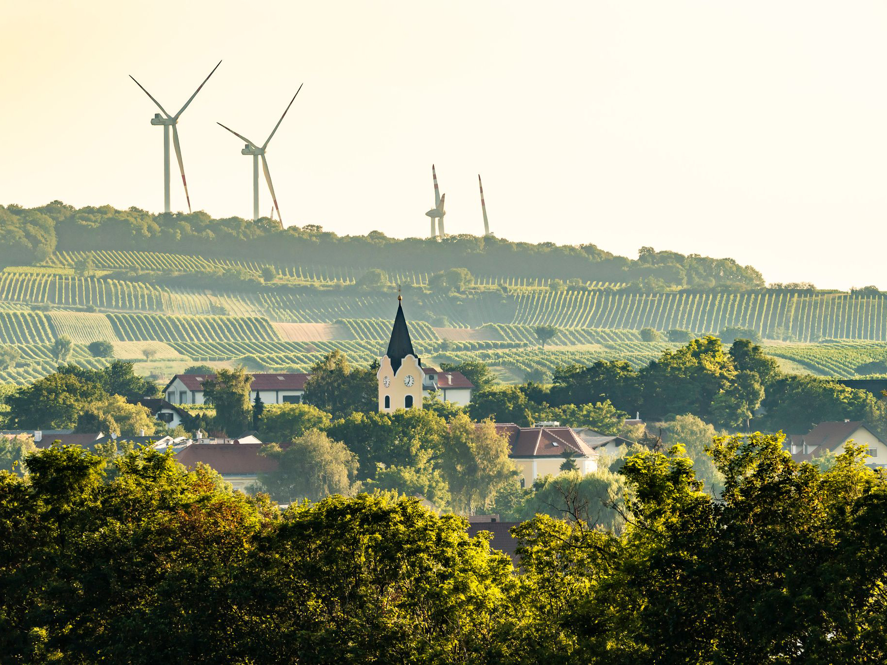 Weine von Weingut Taferner Weingut Taferner