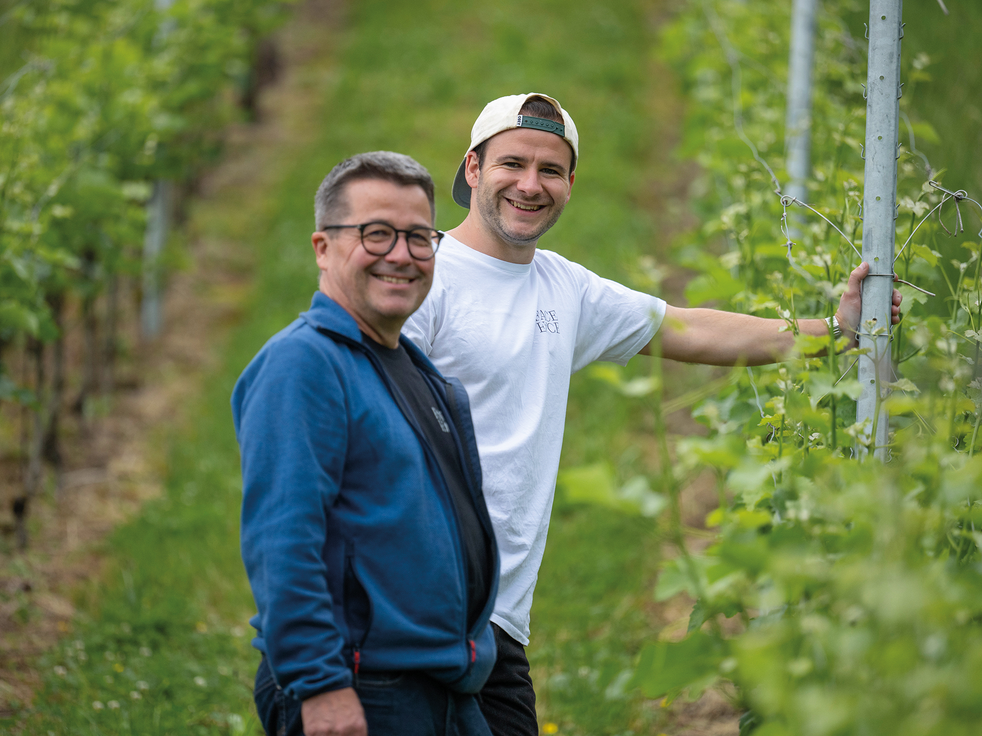 Weine von Weingut Heidegg, Gelfingen