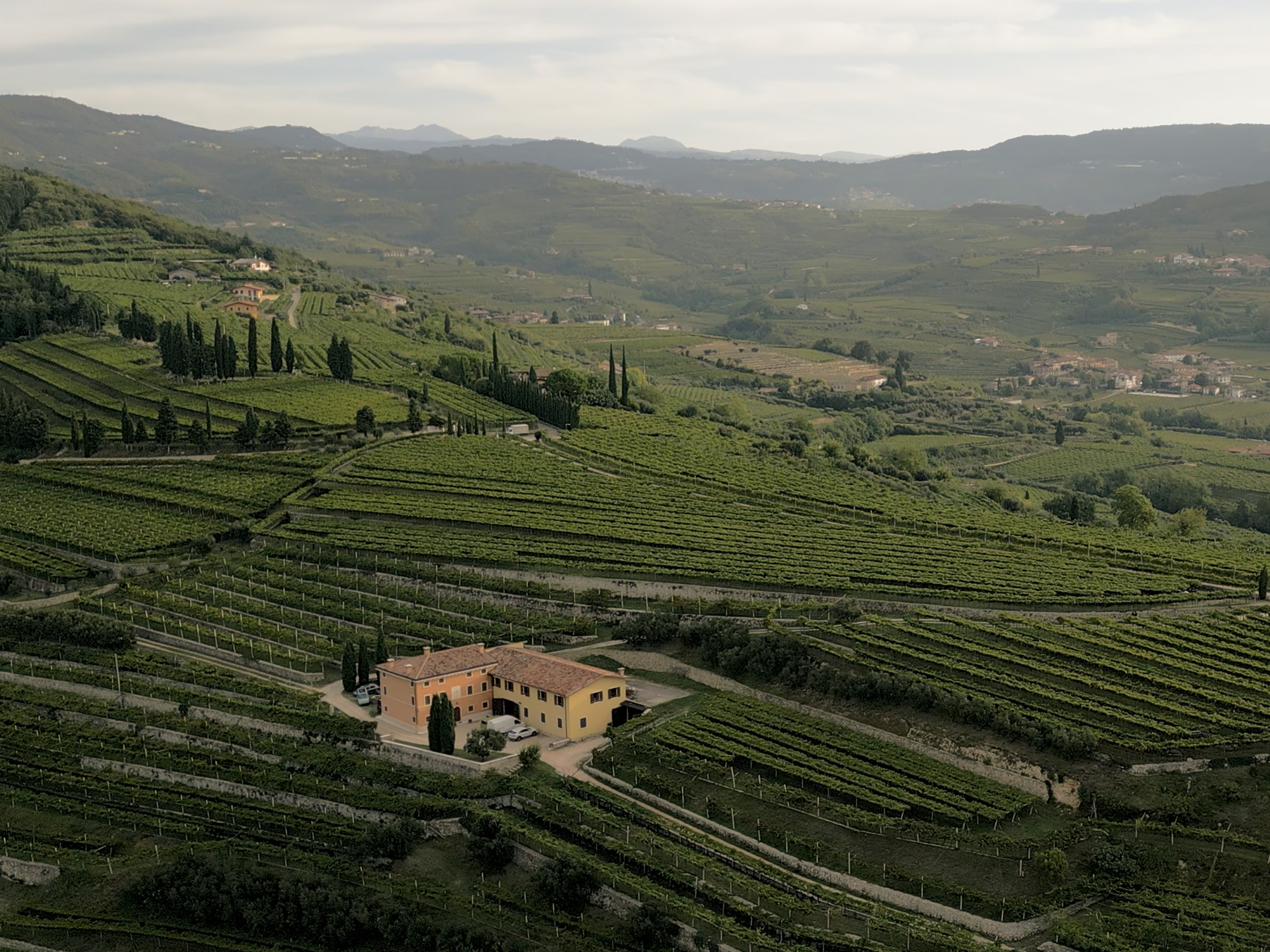 Weine von Speri Viticoltori Speri Viticoltori