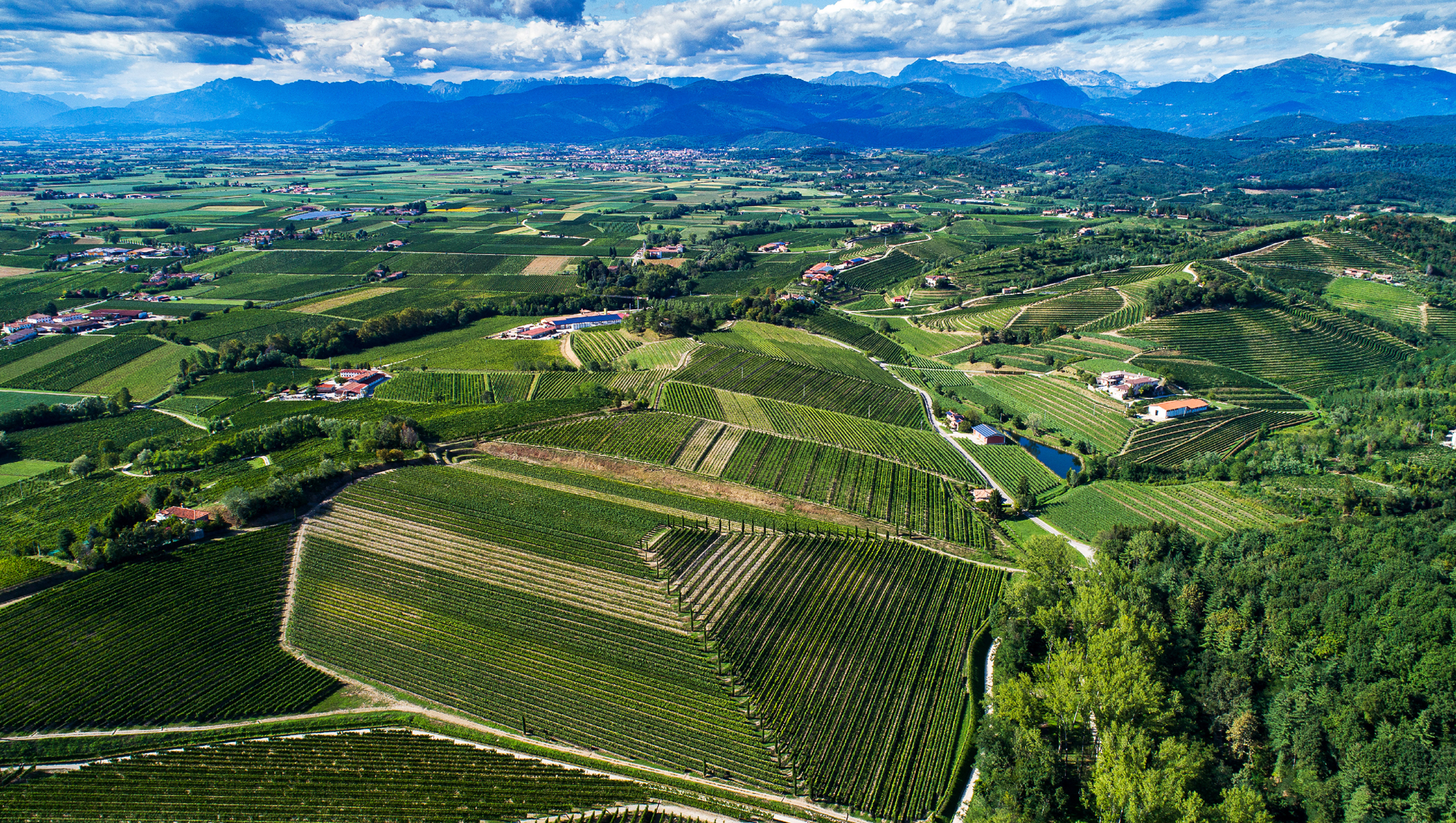 Weinregion Friaul Weine aus Friaul