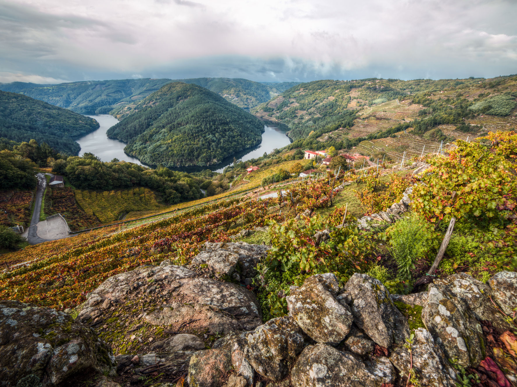 Weine von Abadía da Cova Abadía da Cova
