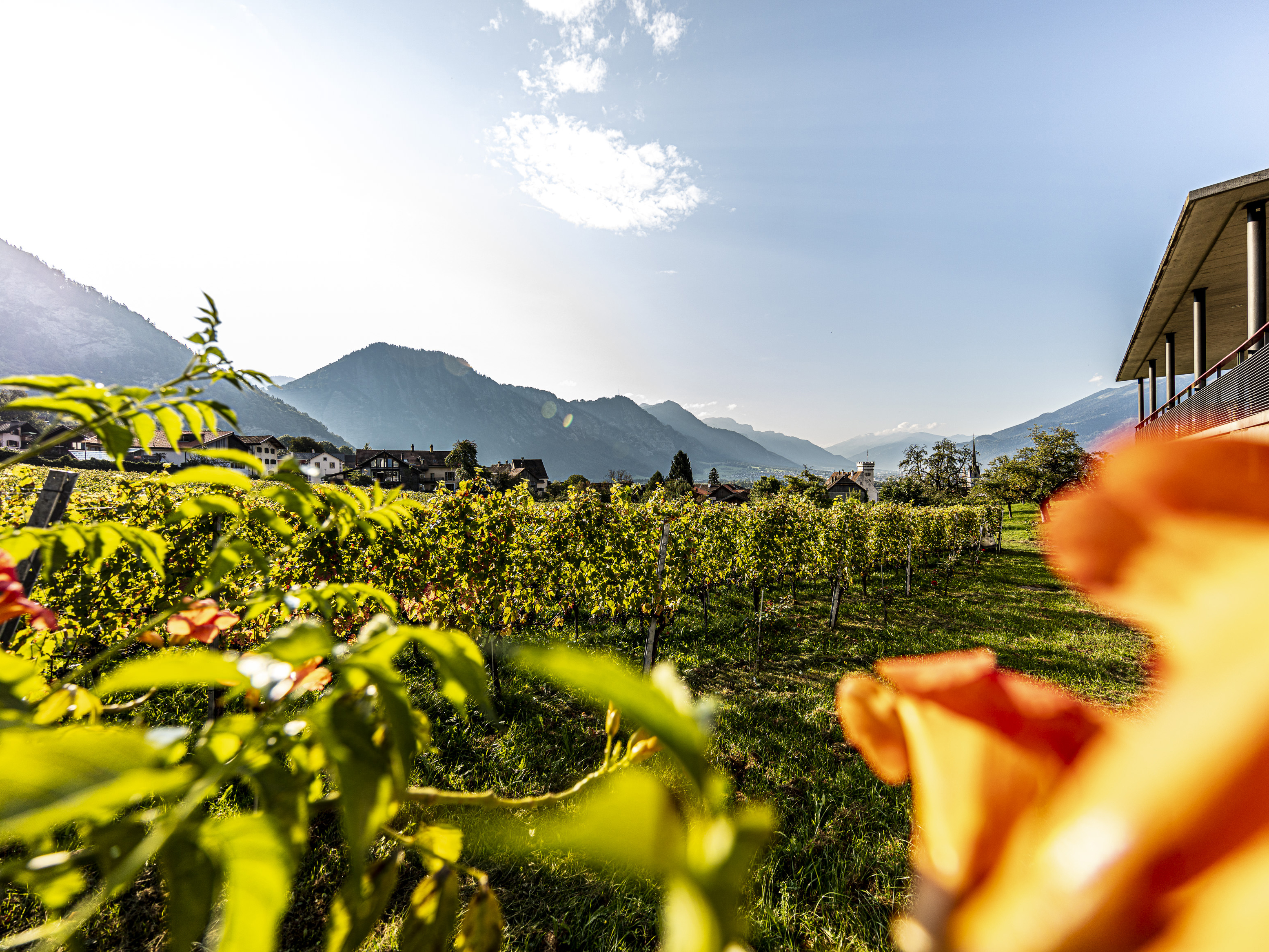 Weingut Wegelin, Malans
