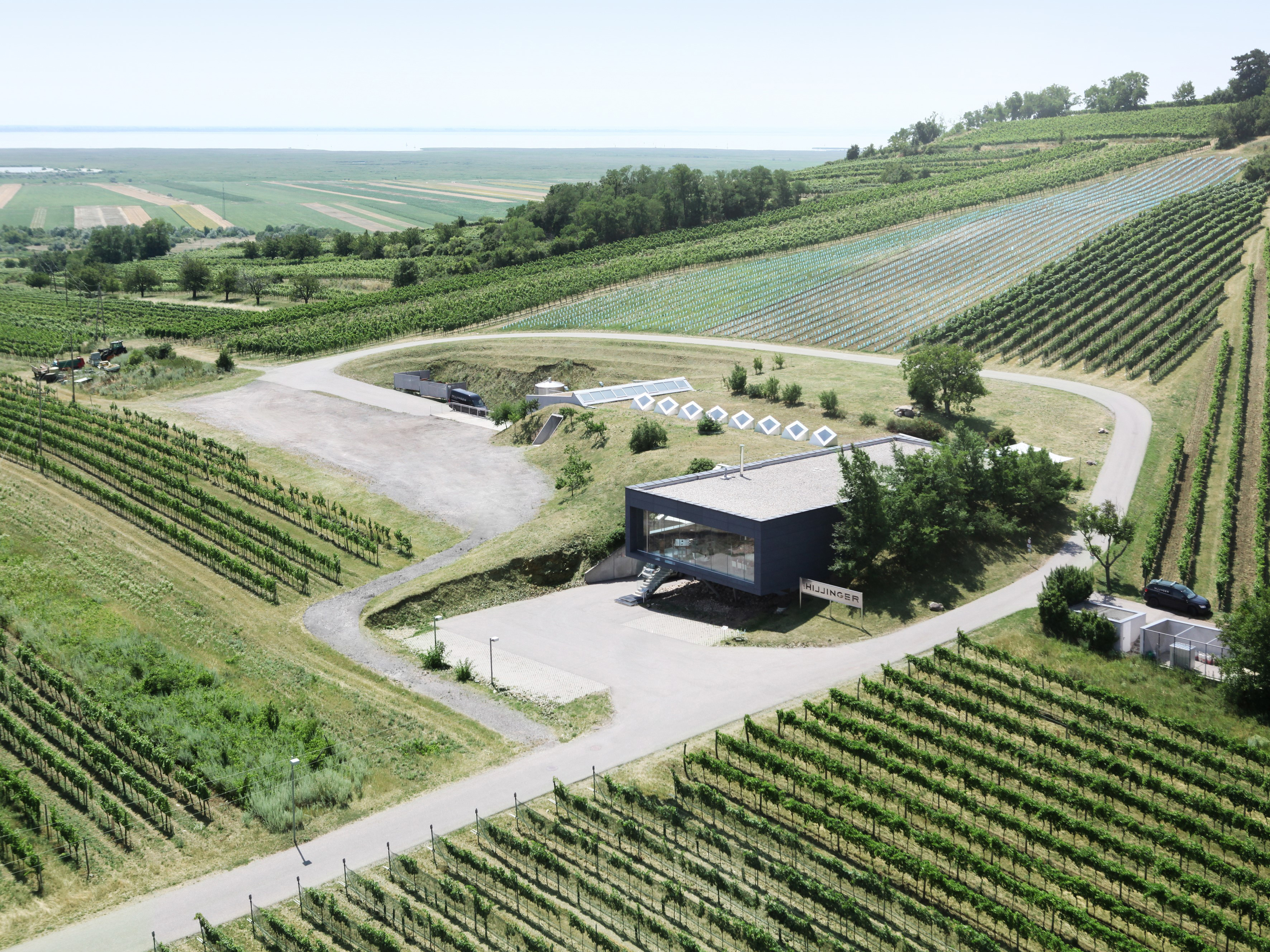 Weine von Weingut Leo Hillinger Weingut Leo Hillinger