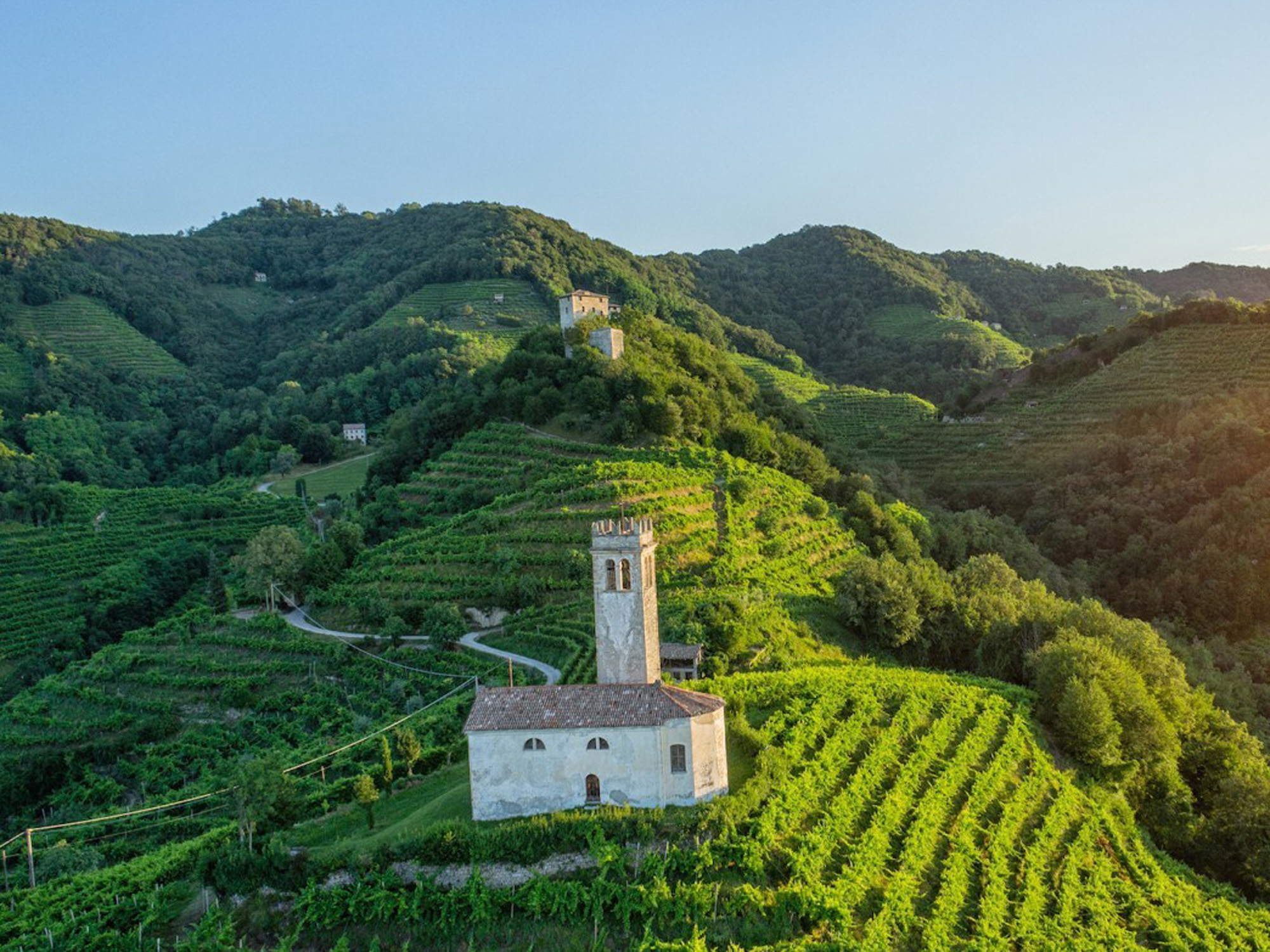 Casa Vinicola Botter S.P.A., Fossalta di Piave