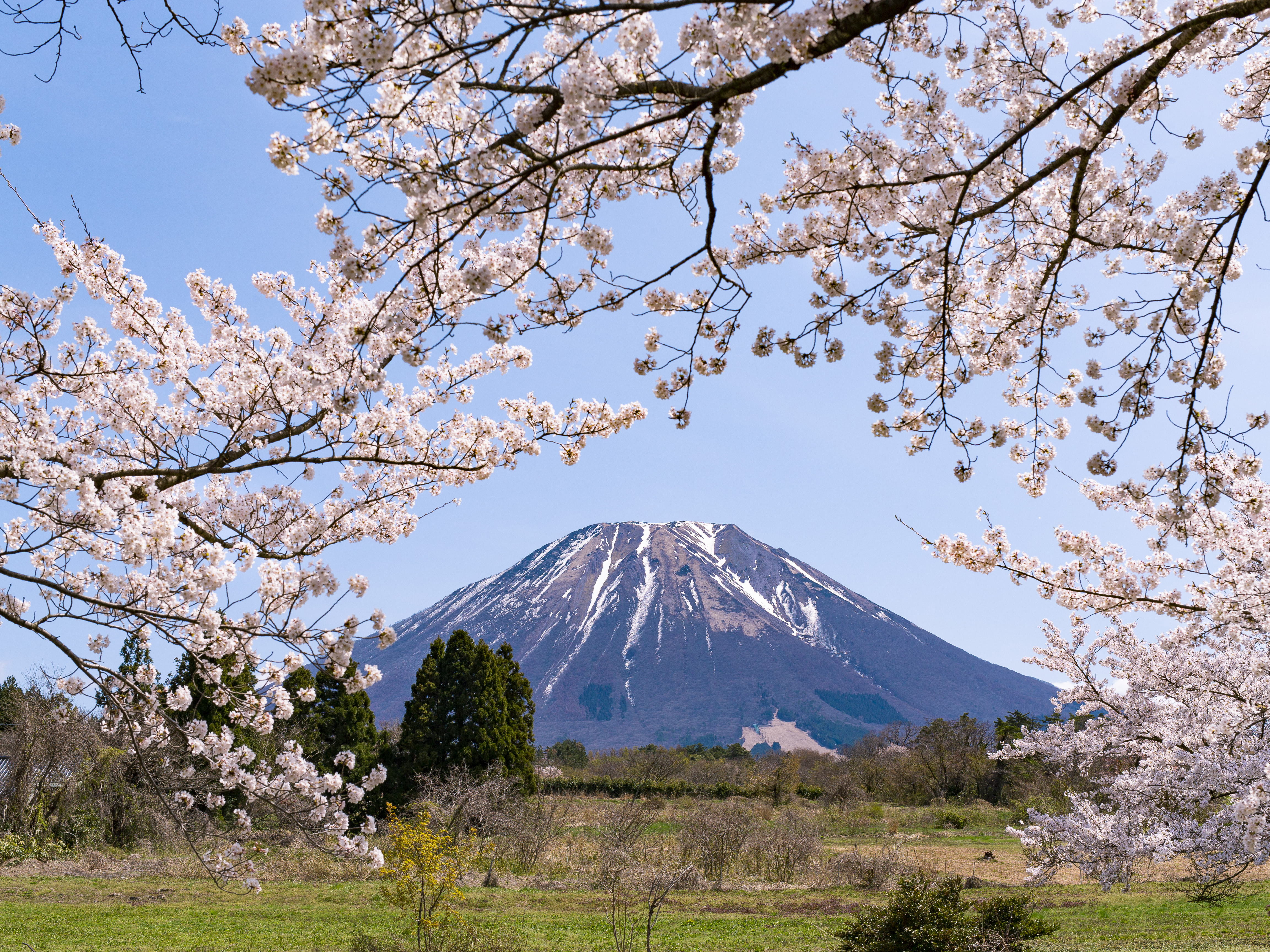 Kurayoshi Distillery, Kurayoshi