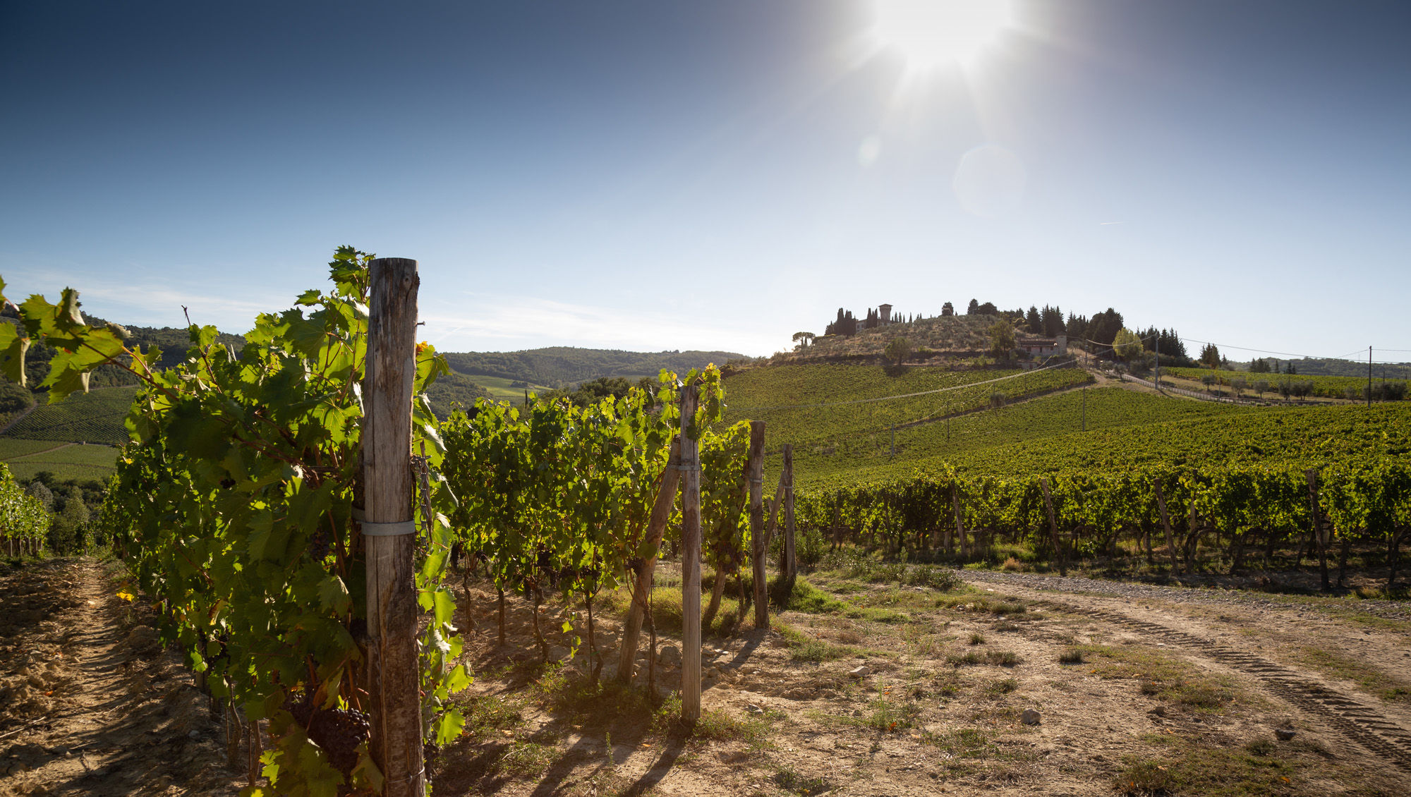 Weinregion Toscana/Chianti Weine aus Toscana/Chianti