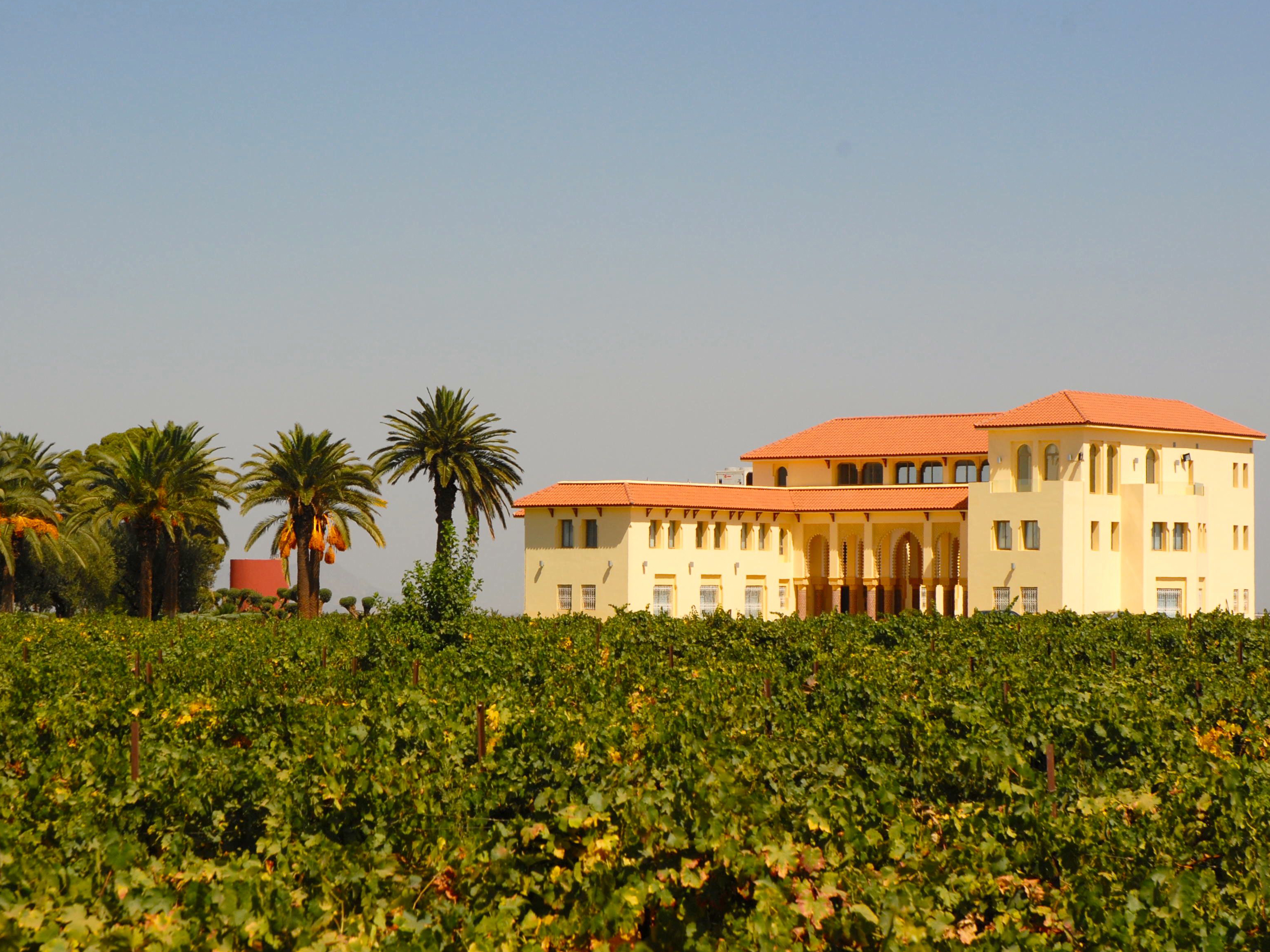 Weine von Les Celliers de Meknes Les Celliers de Meknes