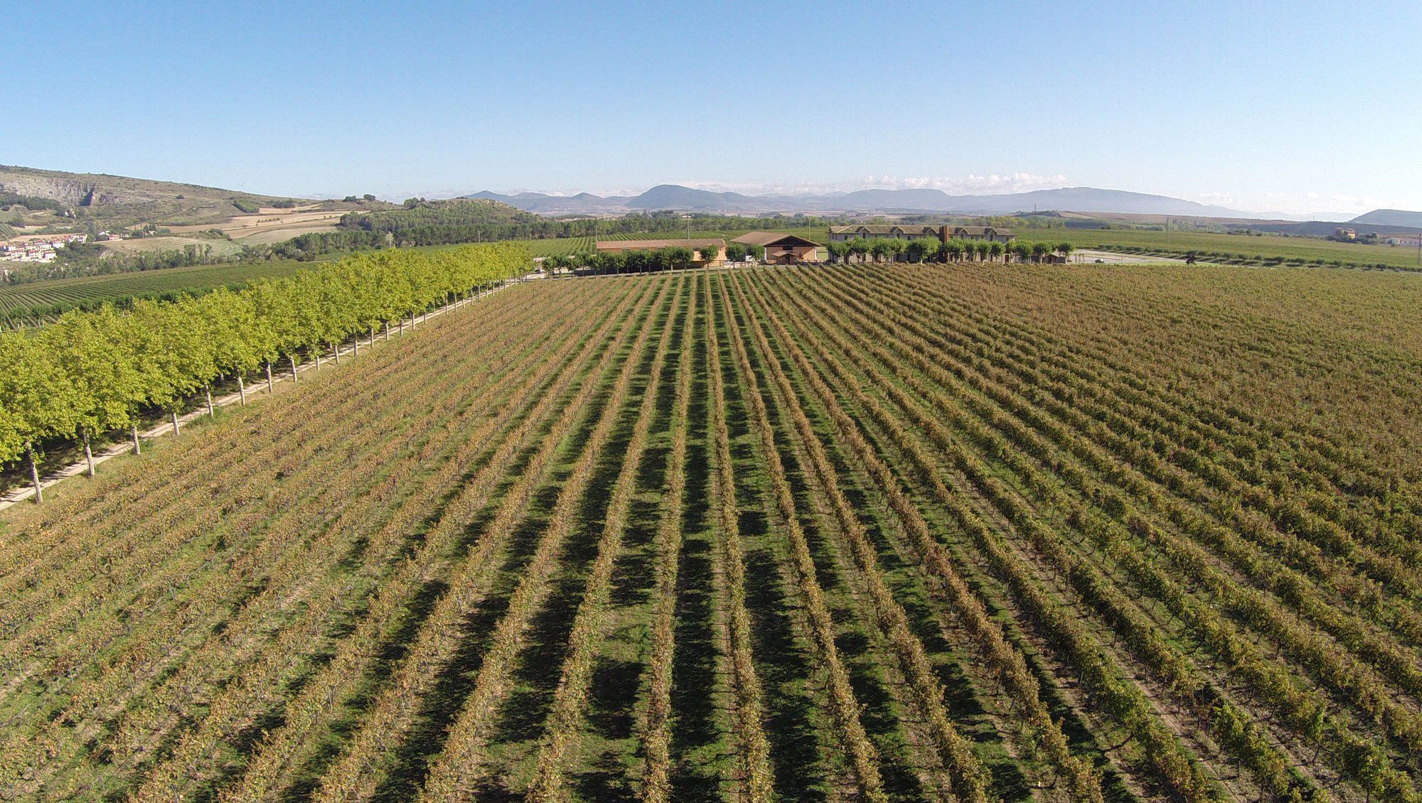 Weinregion Navarra Weine aus Navarra