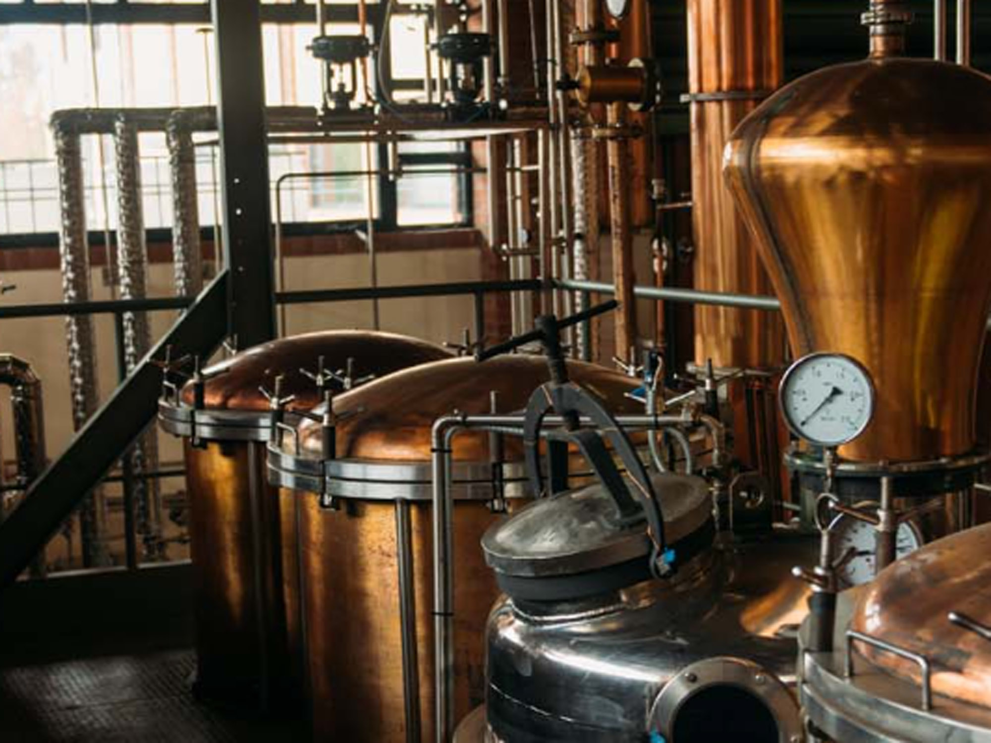 Weine von Distilleria Berta Distilleria Berta