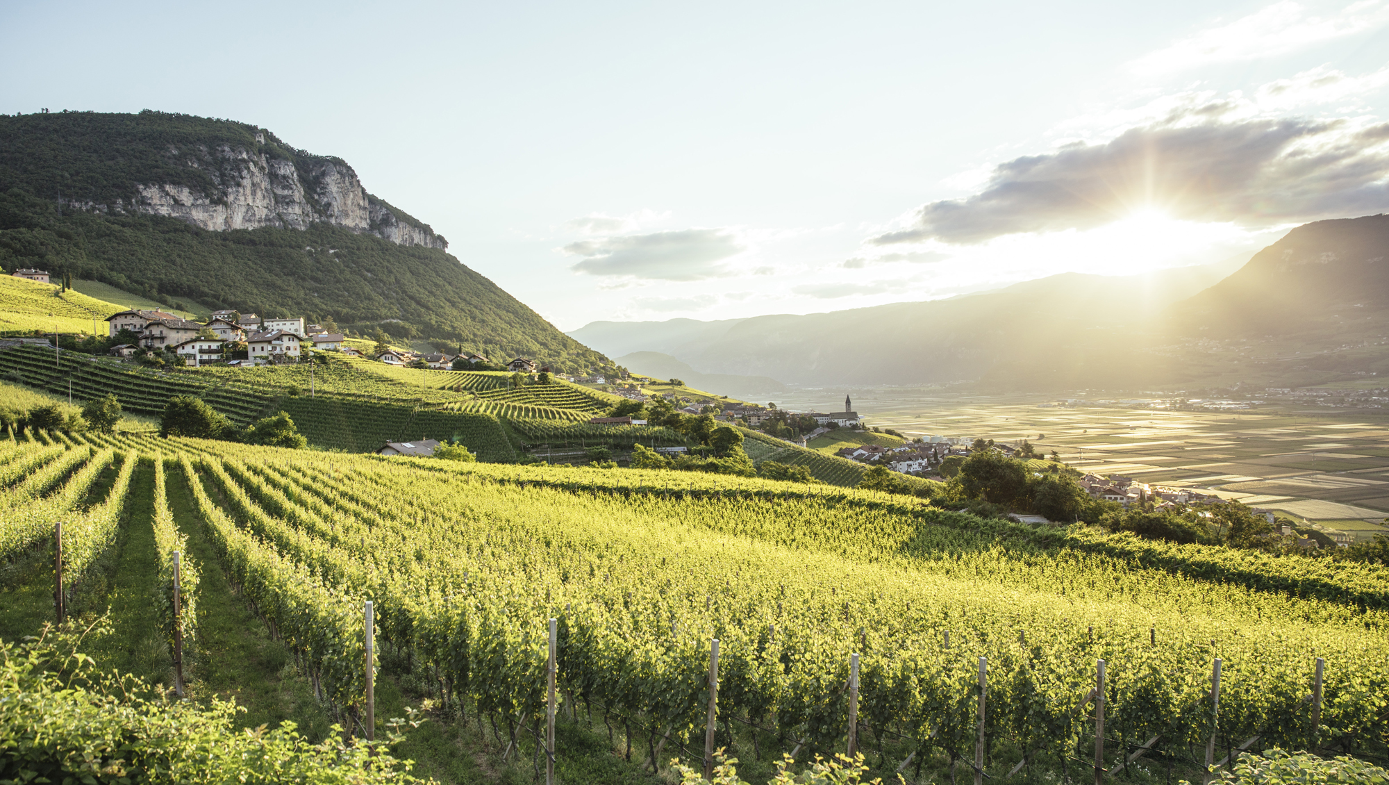 Weinregion Südtirol Weine aus Südtirol