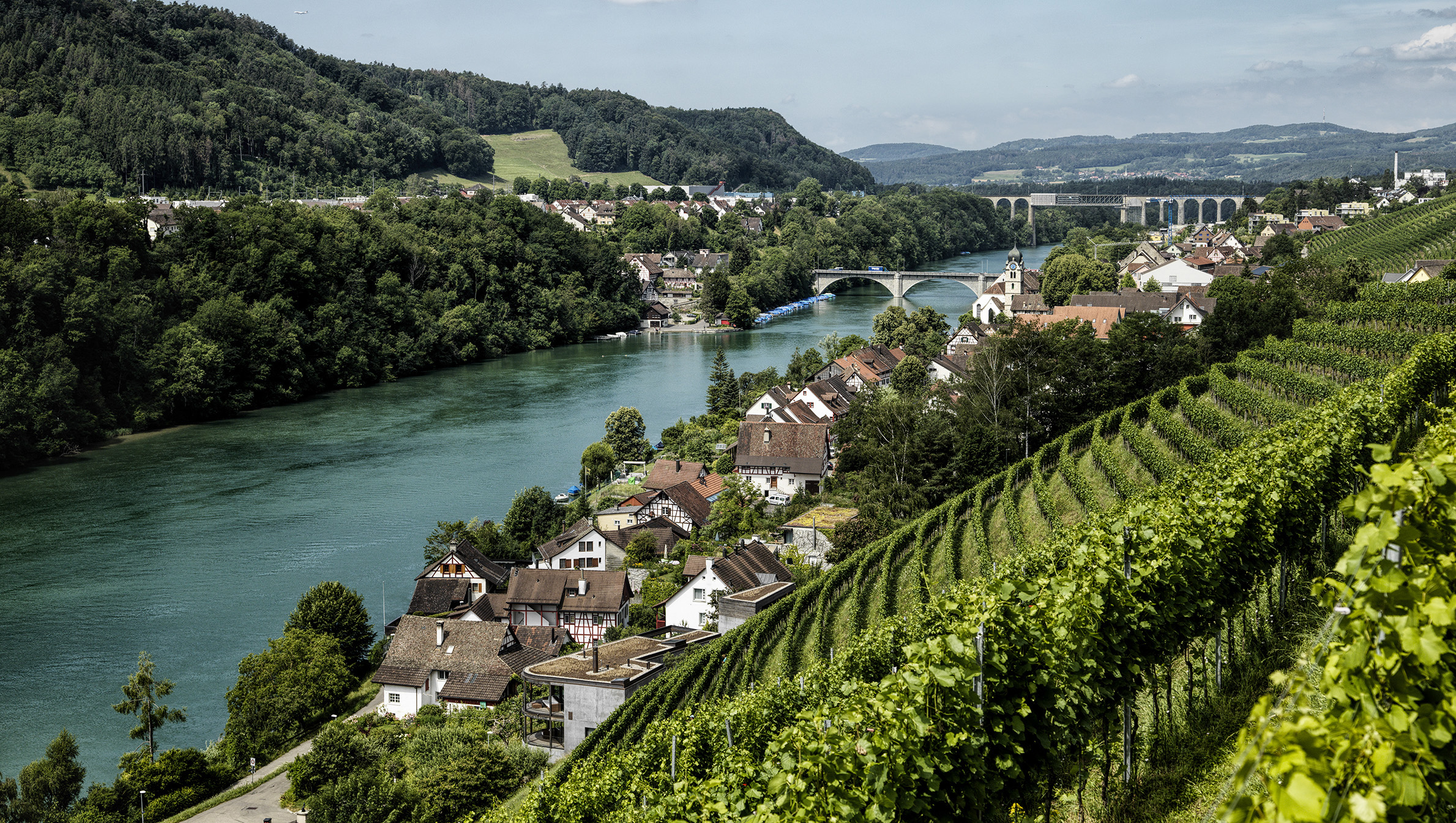 Weinregion Zürich Weine aus Zürich