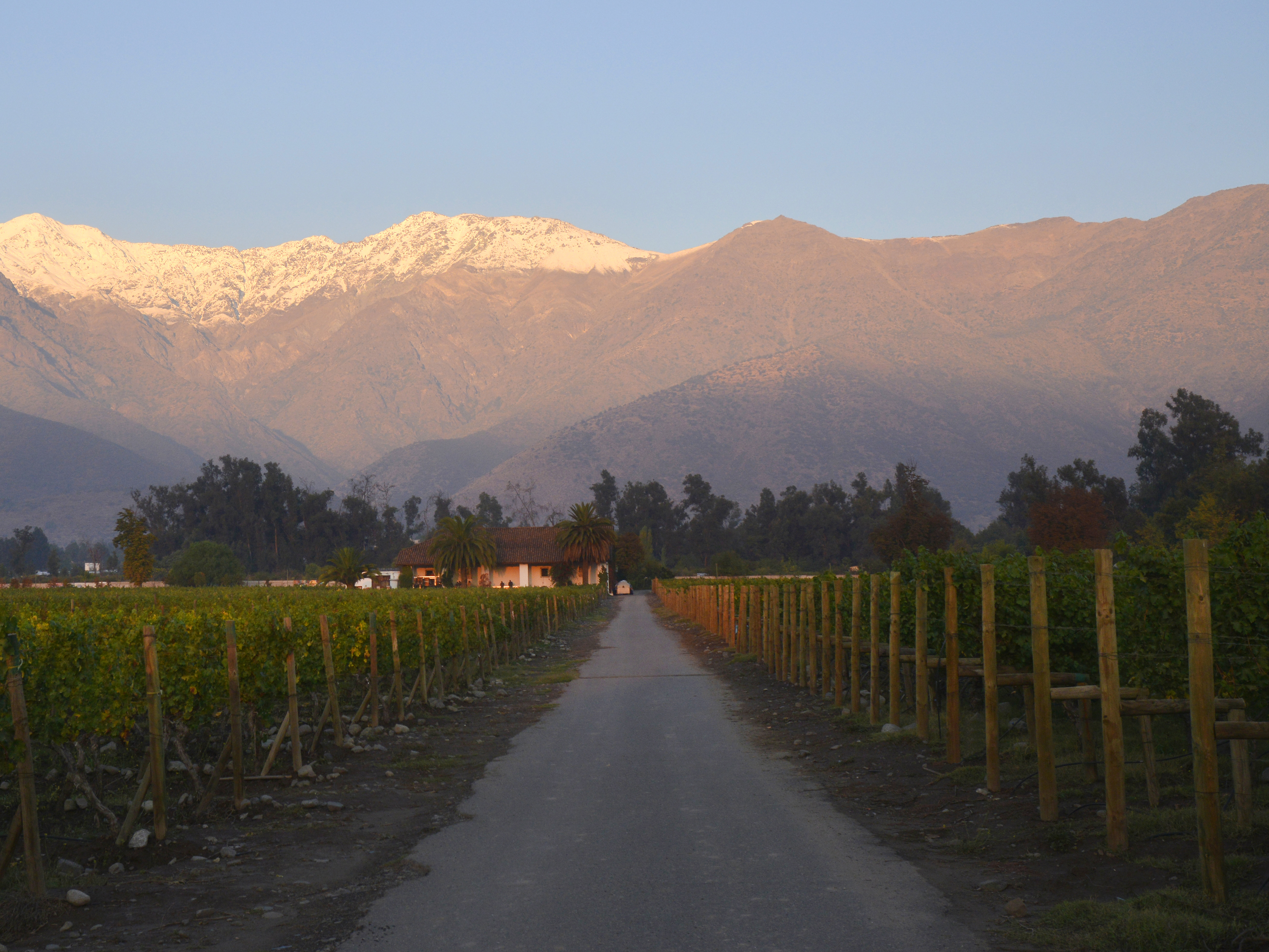 Weine von Vina Quebrada de Macul Vina Quebrada de Macul