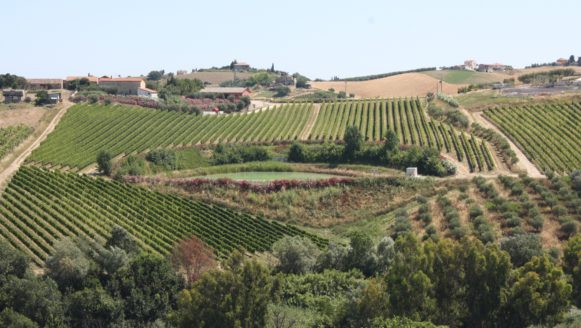 Weinregion Abruzzen Weine aus Abruzzen