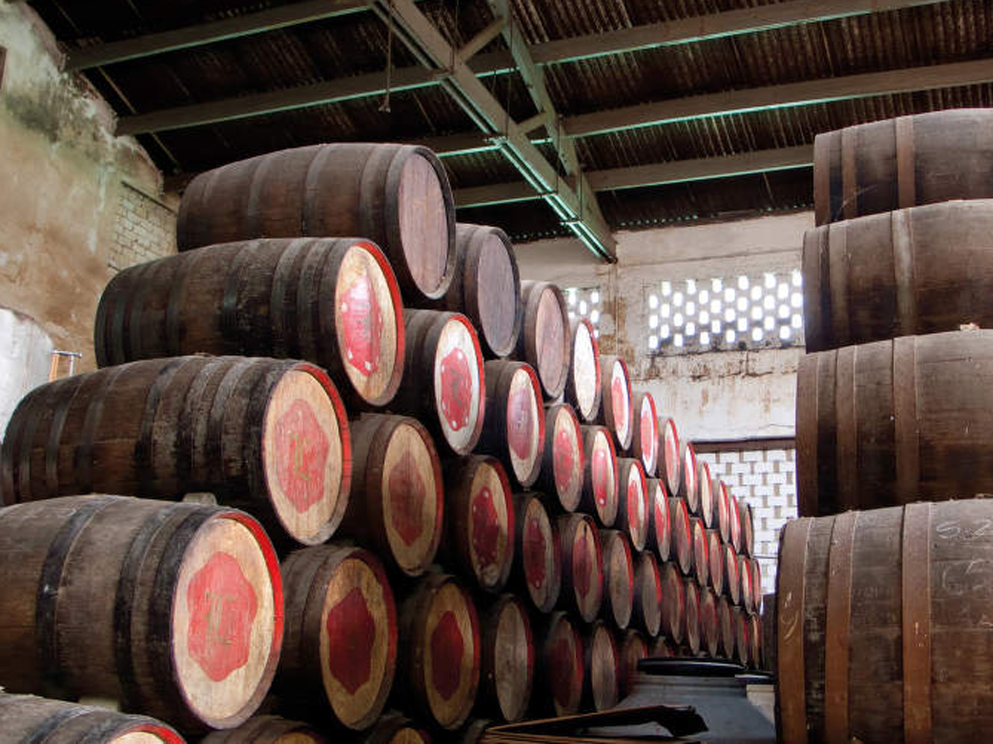 Weine von Ron Millonario Ron Millonario