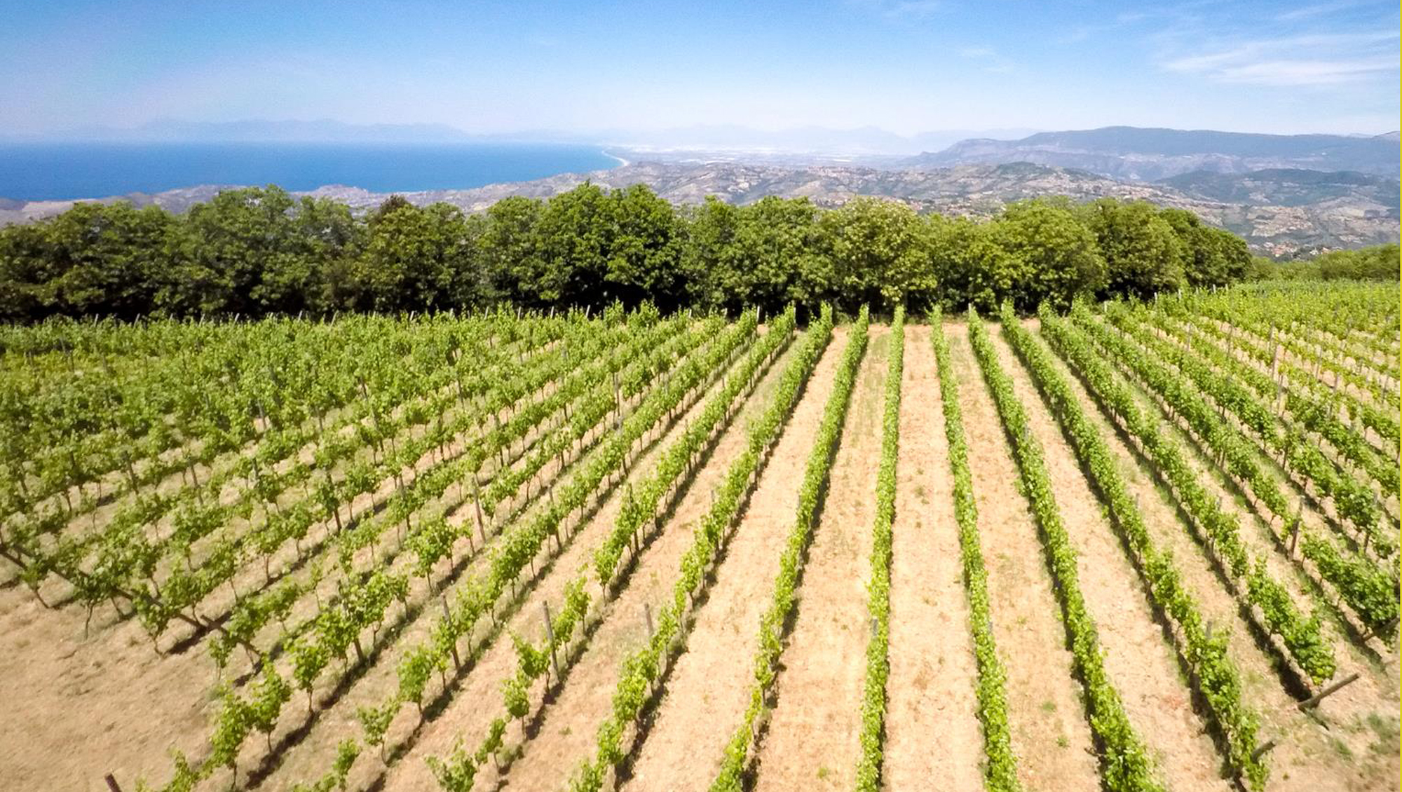 Weinregion Kampanien Weine aus Kampanien