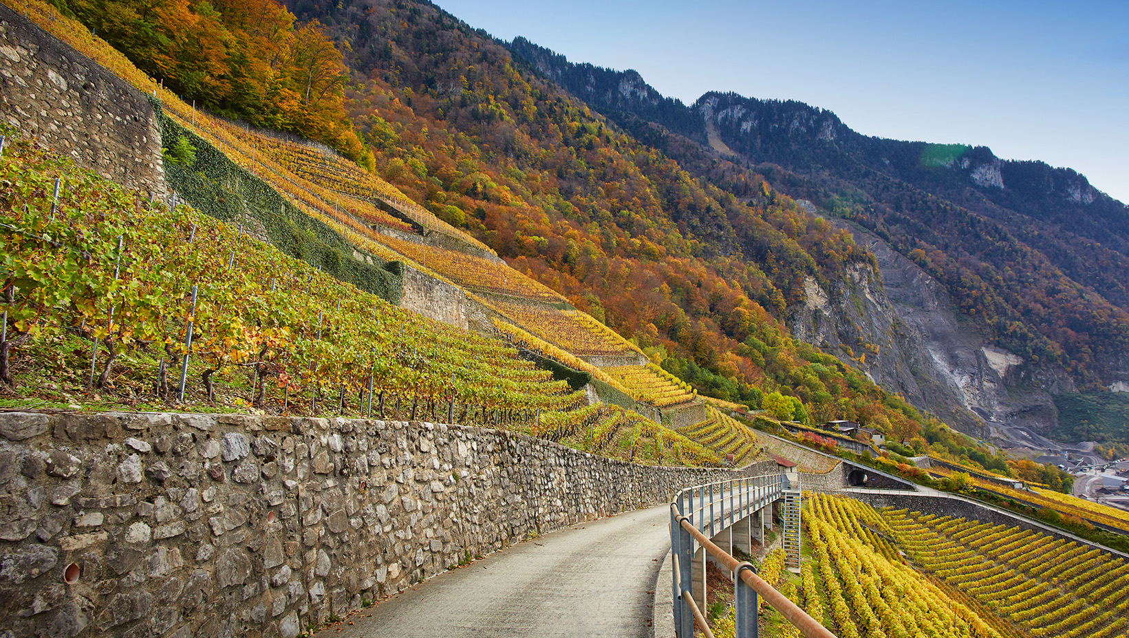 Weinregion Waadt Chablais Weine aus Waadt Chablais